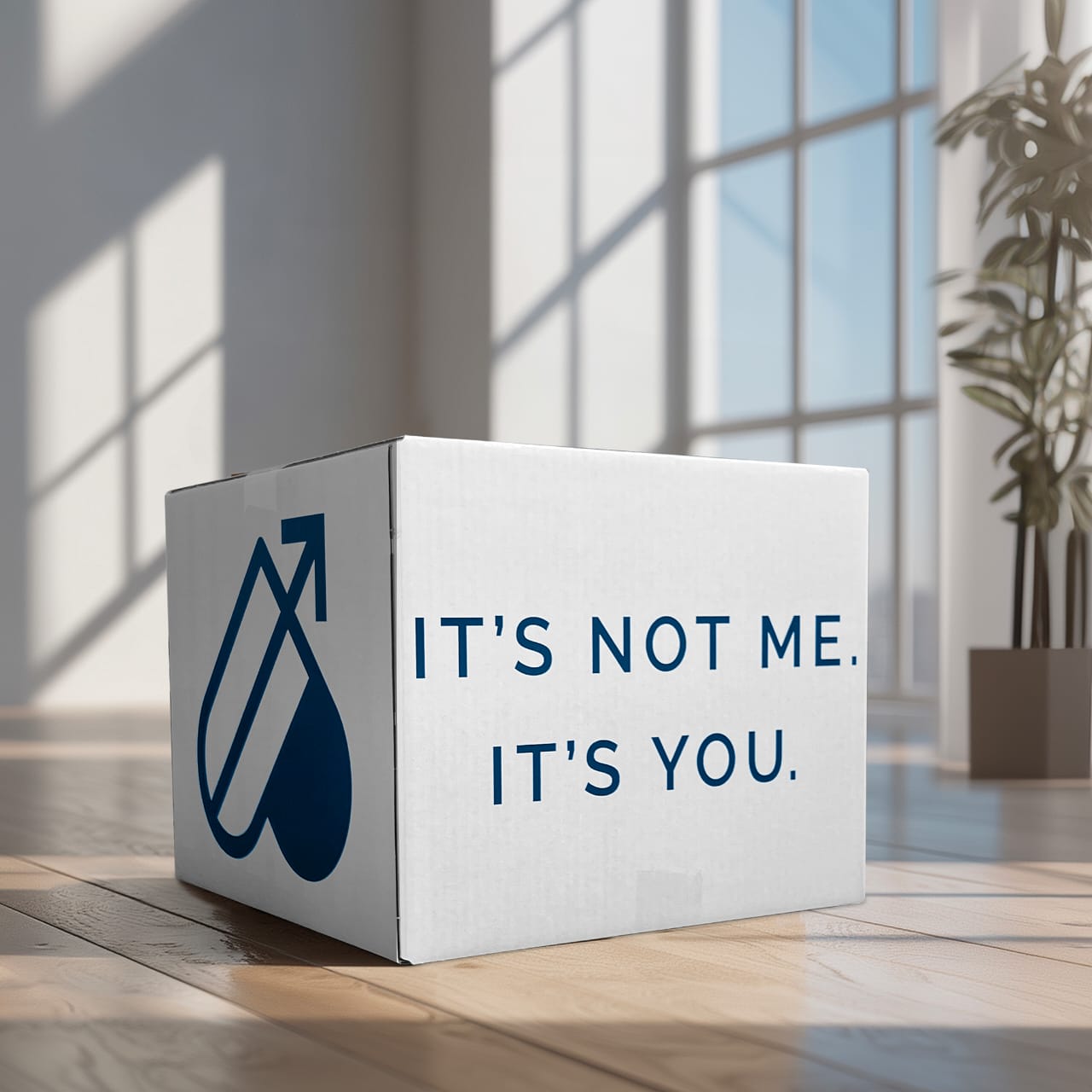 Funny Breakup Gift - The Breakup Return Box: "It's Not Me. It's You."